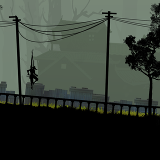 Ninja Arashi wallpaper