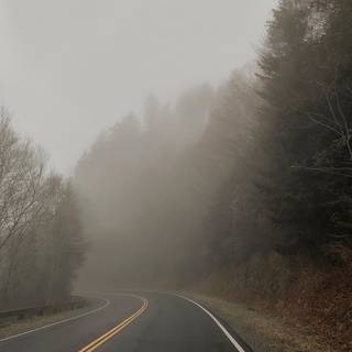 Morning fog wallpaper