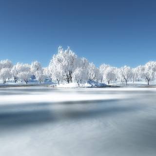 Goodbye winter wallpaper