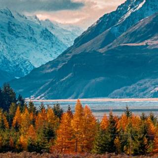 Spring triple monitor wallpaper