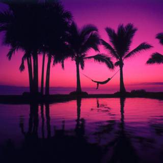 Sunset vibes wallpaper