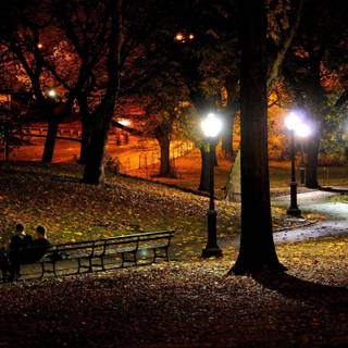 Autumn night desktop wallpaper