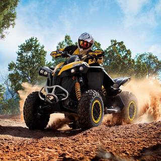 Can Am Renegade 1000 wallpaper