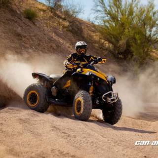 Can Am Renegade 1000 wallpaper