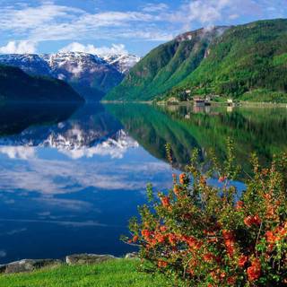 Norway spring wallpaper