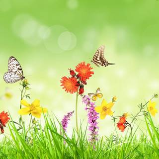 Pastel spring wallpaper