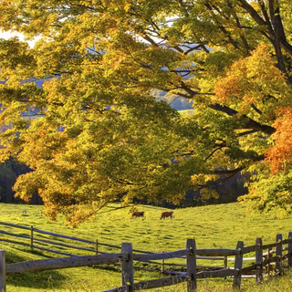 Computer scenery Full HD wallpaper