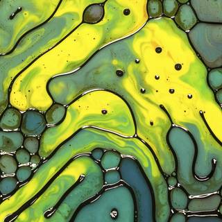 Colorful oil bubbles HD wallpaper
