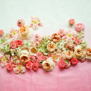 Spring feast wallpaper