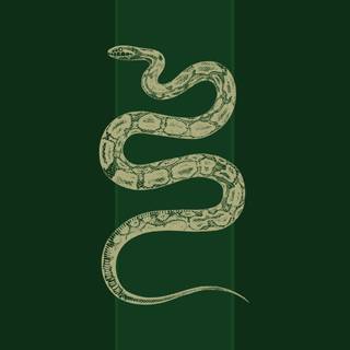 Aesthetic Slytherin wallpaper
