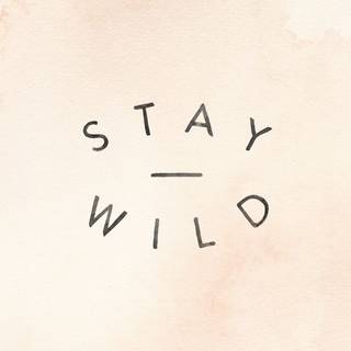 Stay wild aesthetic wallpaper