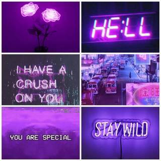 Stay wild aesthetic wallpaper
