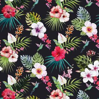 Flowers portrait amoled wallpaper