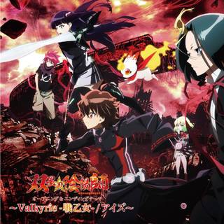 Twin Star Exorcists wallpaper