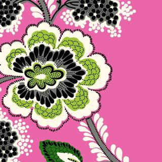 Vera Bradley wallpaper