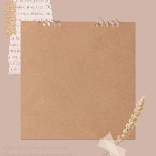 Nude color wallpaper