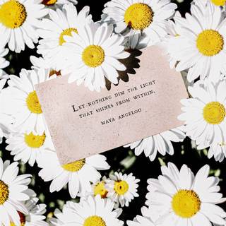 Spring iPhone 12 wallpaper