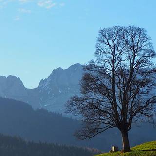 Spring iPhone 12 wallpaper