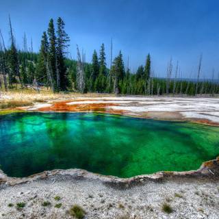 Spring lake park wallpaper