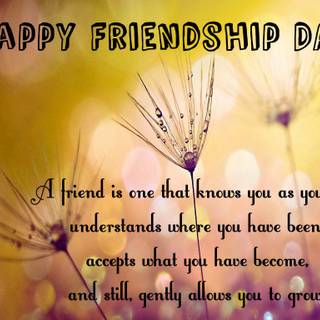 Happy Friendship Day wallpaper