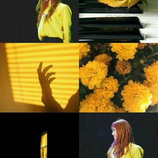 Aesthetic Lisa yellow wallpaper
