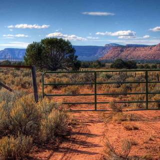 Arizona spring wallpaper