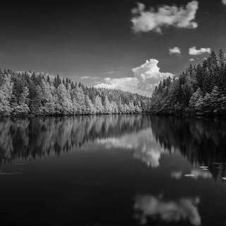 4k dark natural wallpaper