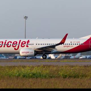 SpiceJet wallpaper