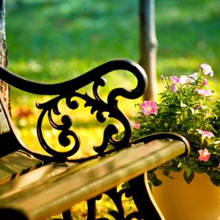 HD nature spring wallpaper