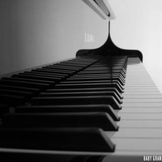 The Piano Guys wallpaper