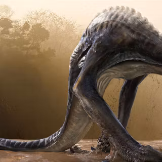 Skullcrawler wallpaper