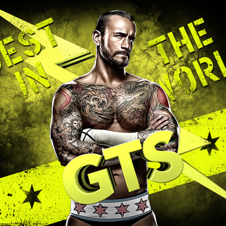 WWE CM Punk: Best in the World wallpaper