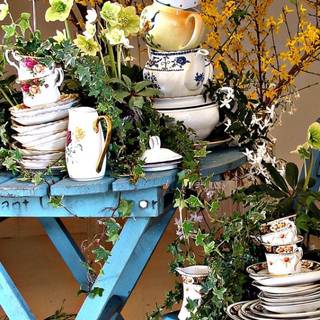 Tea spring wallpaper