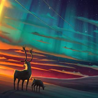 The Northern Lights wallpaper