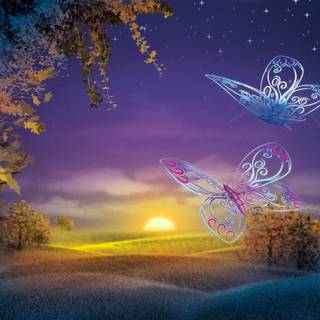 Butterfly girl at sunset wallpaper