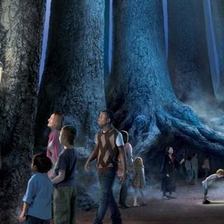 The Forbidden Forest Harry Potter wallpaper