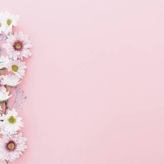 Composition wallpaper