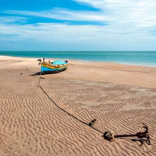 Microsoft Windows wallpaper