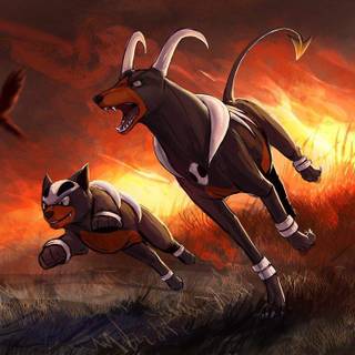 Houndoom V wallpaper