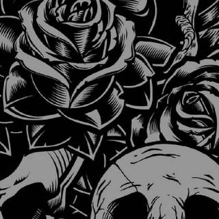 Skull rose mobile wallpaper