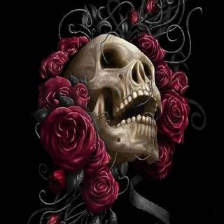 Skull rose mobile wallpaper