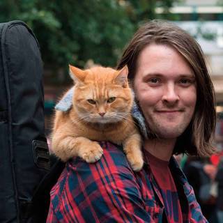 A Street Cat Named Bob wallpaper