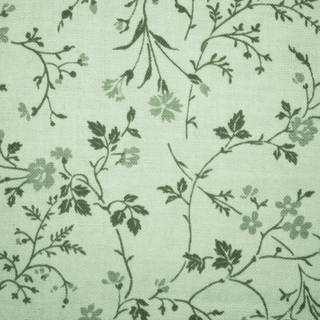 Aesthetic sage color wallpaper