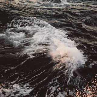 Warm aesthetic wallpaper