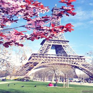 Spring in Paris wallpaper