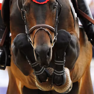 Show Jumping wallpaper
