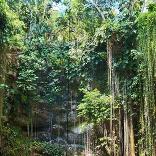 Cenote wallpaper