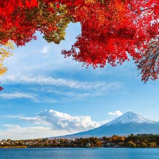 Fuji scene wallpaper