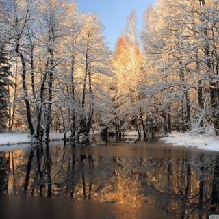 Winter melting wallpaper