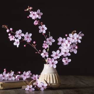 Book spring wallpaper